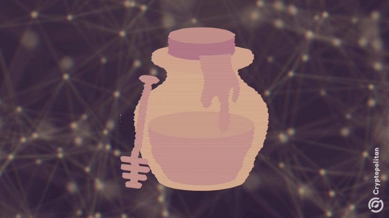 基础用户的全新蜜罐代币浪潮